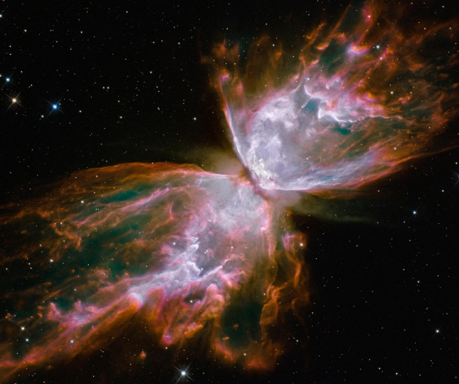 hubblebutterfly_1_540x645